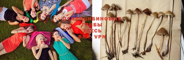 герыч Богданович