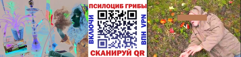купить наркотик  Мосальск  Псилоцибиновые грибы мухоморы 
